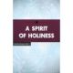 A Spirit of Holiness  (Building Deeper Faith Series)