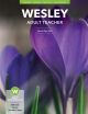 Wesley Adult Bible Teacher (Spring)